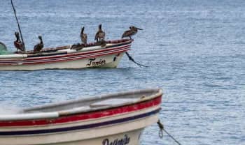 Lagoa Azul — Passeio Marinho Lagoa Azul — Passeio Marinho